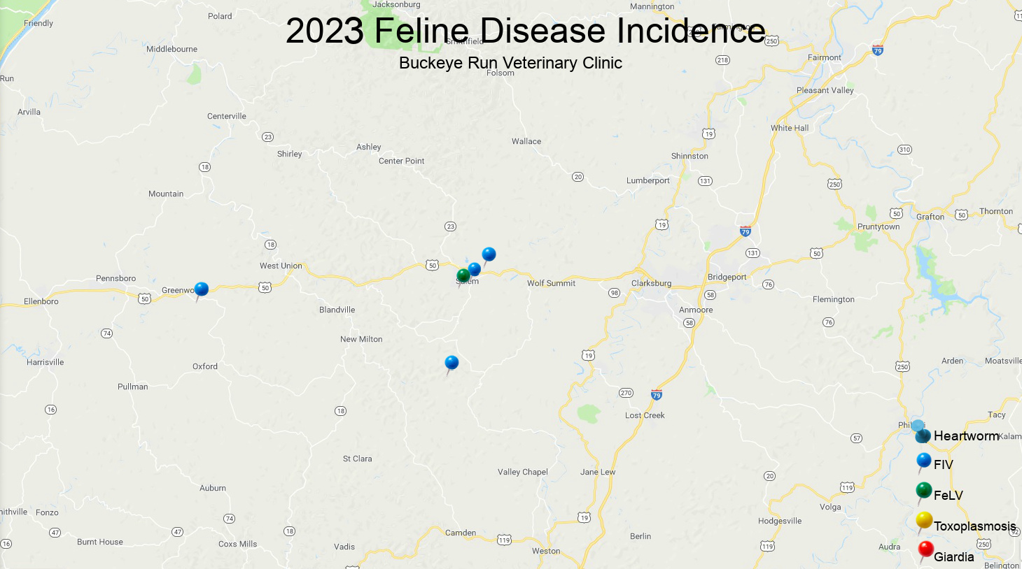 Disease Incidence | Veterinarian in Salem, WV | Buckeye Run Veterinary